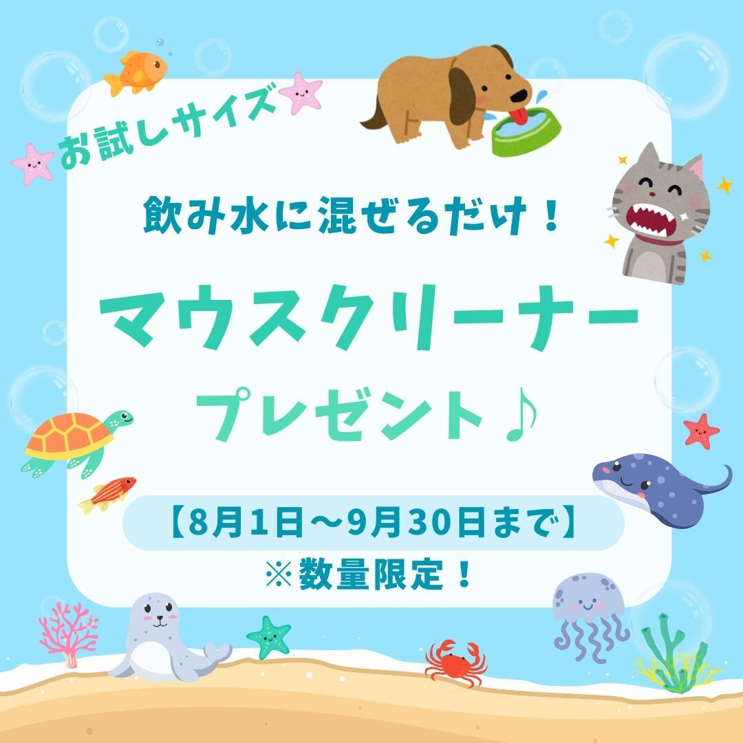 ☆☆デンタルケアキャンペの写真(埼玉県川越市)