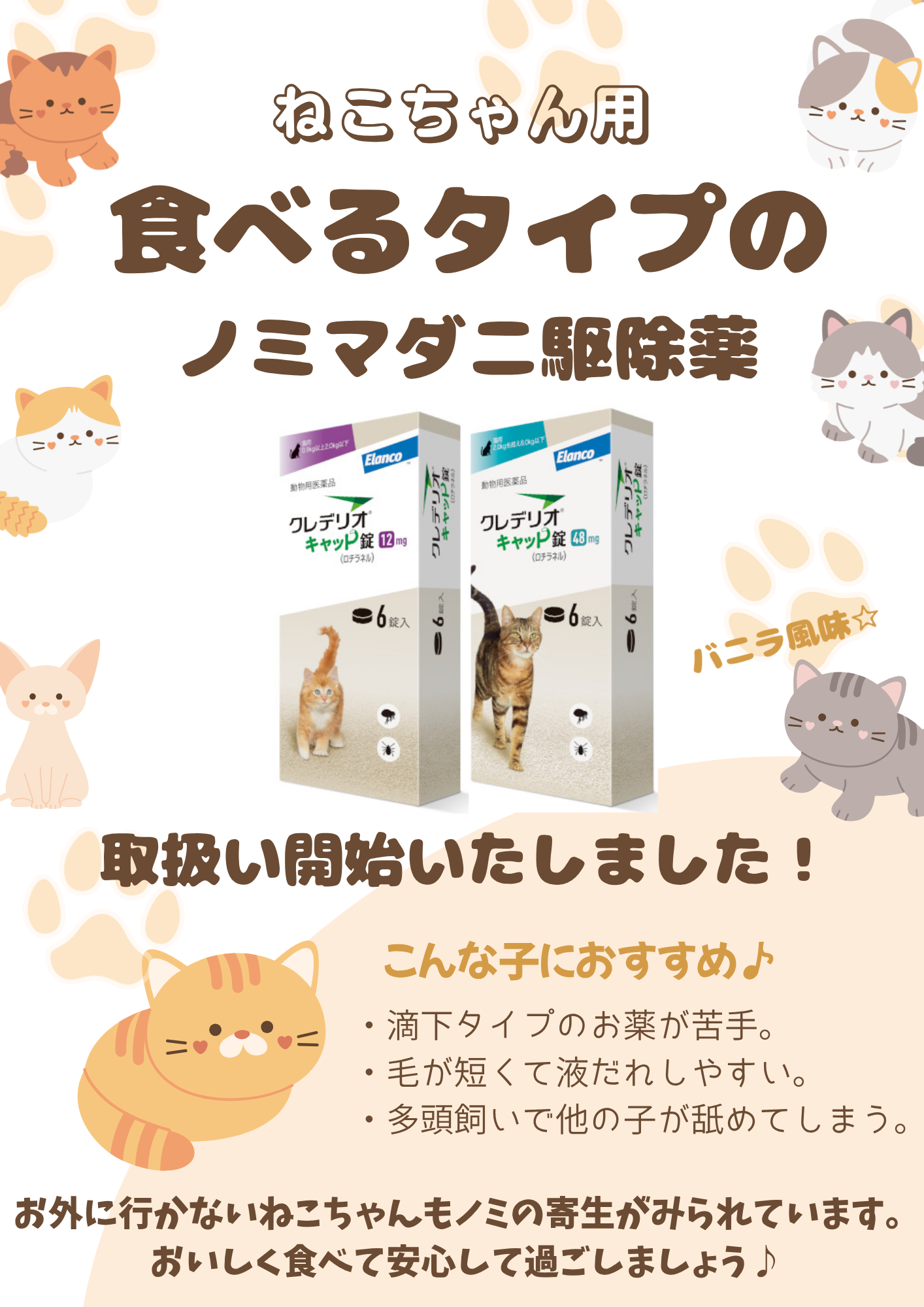クレデリオキャット錠